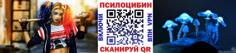 Псилоцибиновые грибы Magic Shrooms  Пудож 